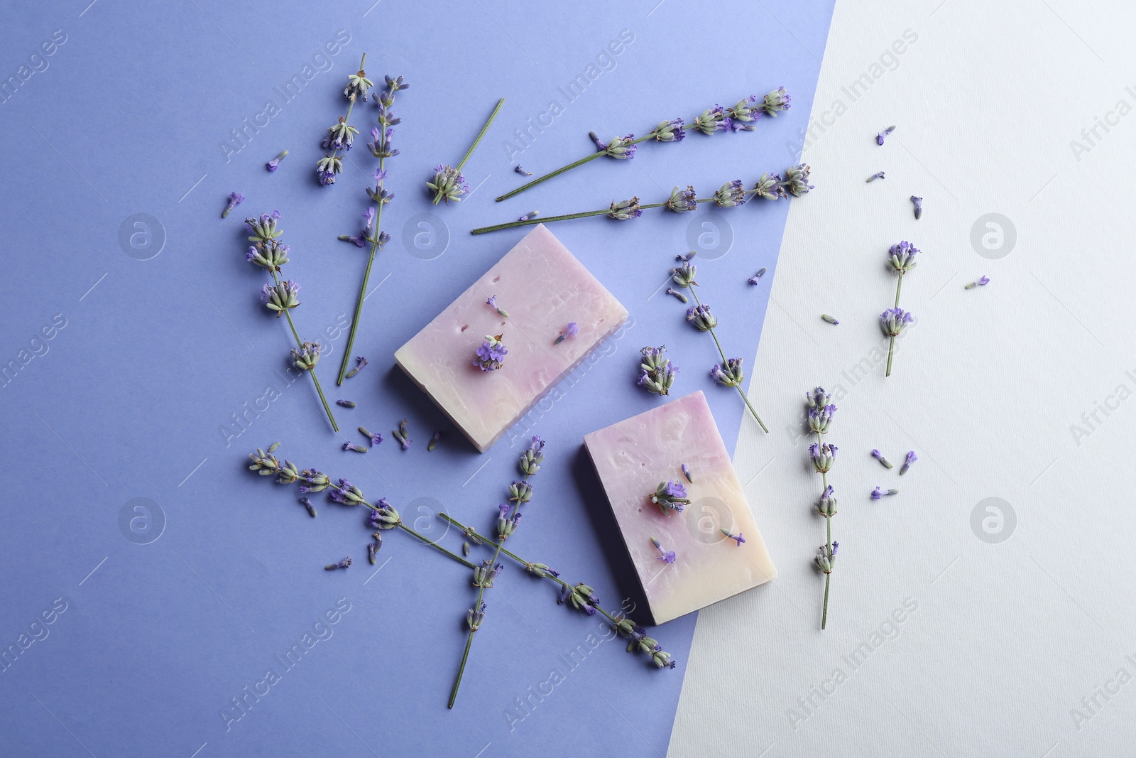 Photo of Hand made soap bars with lavender flowers on color background, flat lay