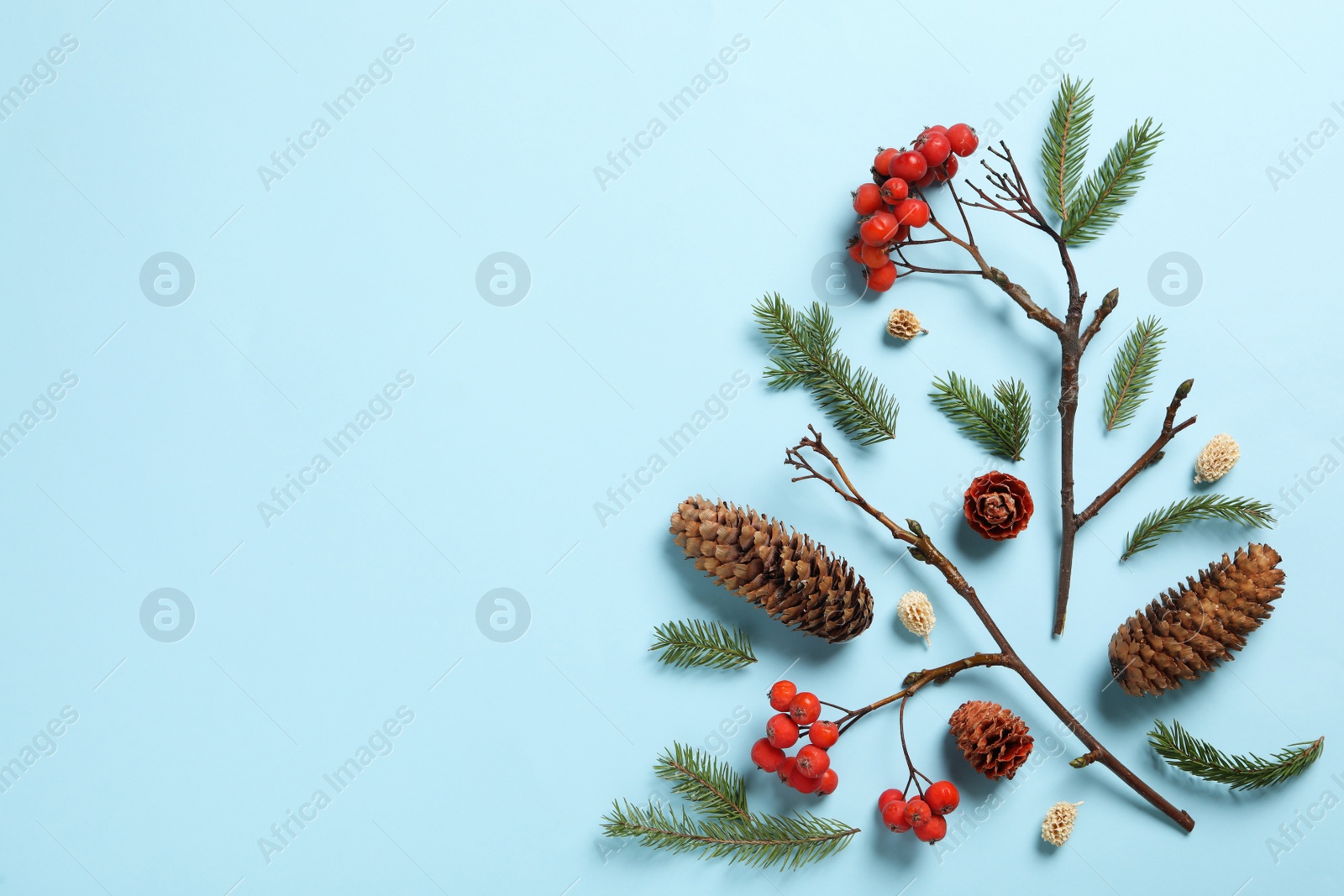 Photo of Flat lay composition with pinecones on light blue background, space for text