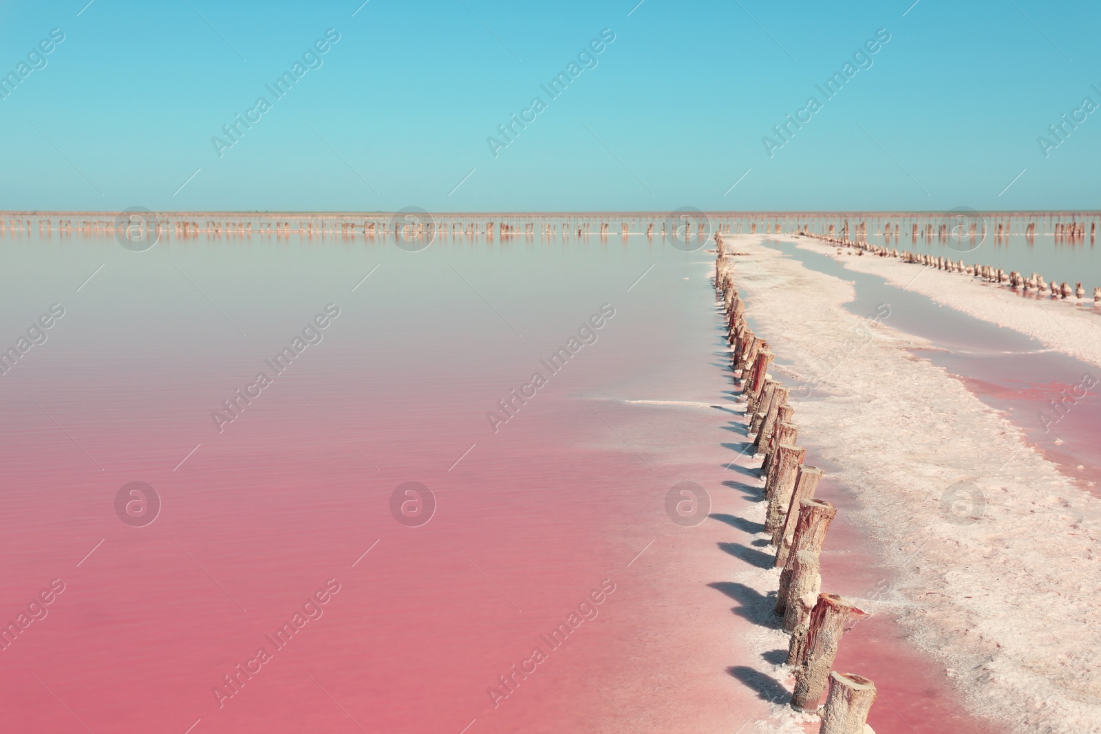 Photo of Beautiful view of pink lake on summer day