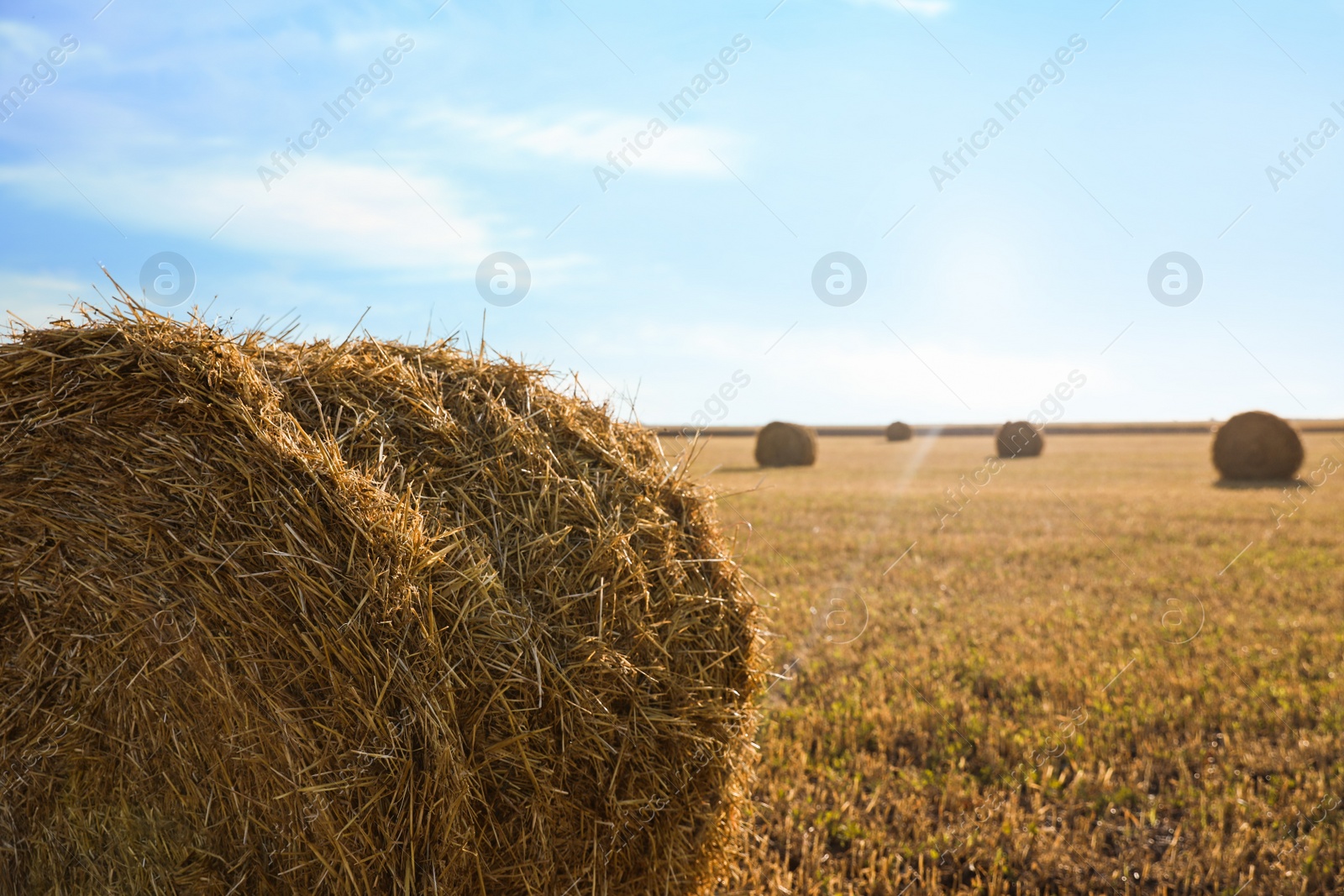 Photo of Round rolled hay bale in agricultural field on sunny day, closeup
