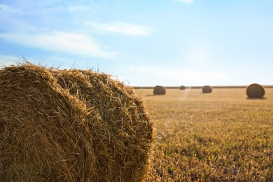 Photo of Round rolled hay bale in agricultural field on sunny day, closeup