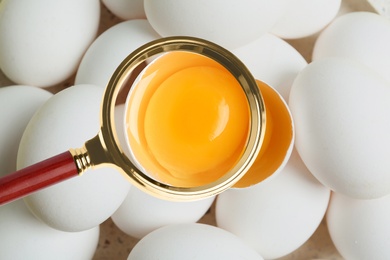 Image of Magnifying glass focusing on chicken egg, closeup. Food control 