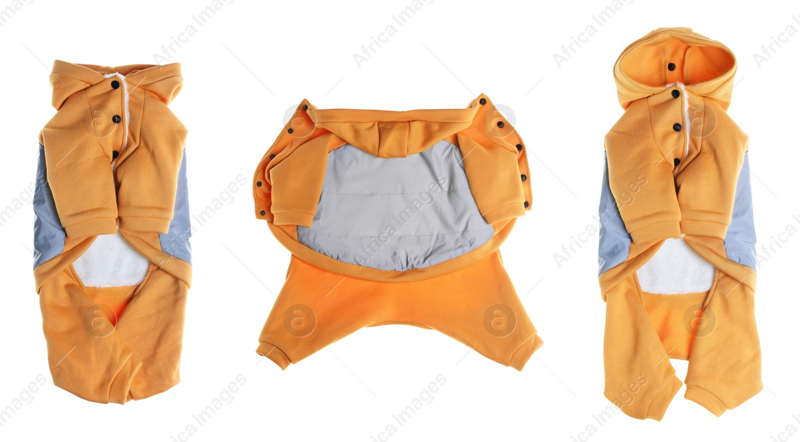 Image of Stylish dog clothes on white background, collage. Banner design