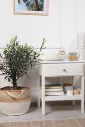 Photo of Beautiful young potted olive tree in living room. Interior element