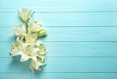 Photo of Flat lay composition with lily flowers on color background