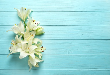 Flat lay composition with lily flowers on color background