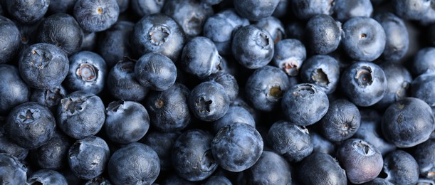 Image of Tasty fresh blueberries as background, closeup view. Banner design