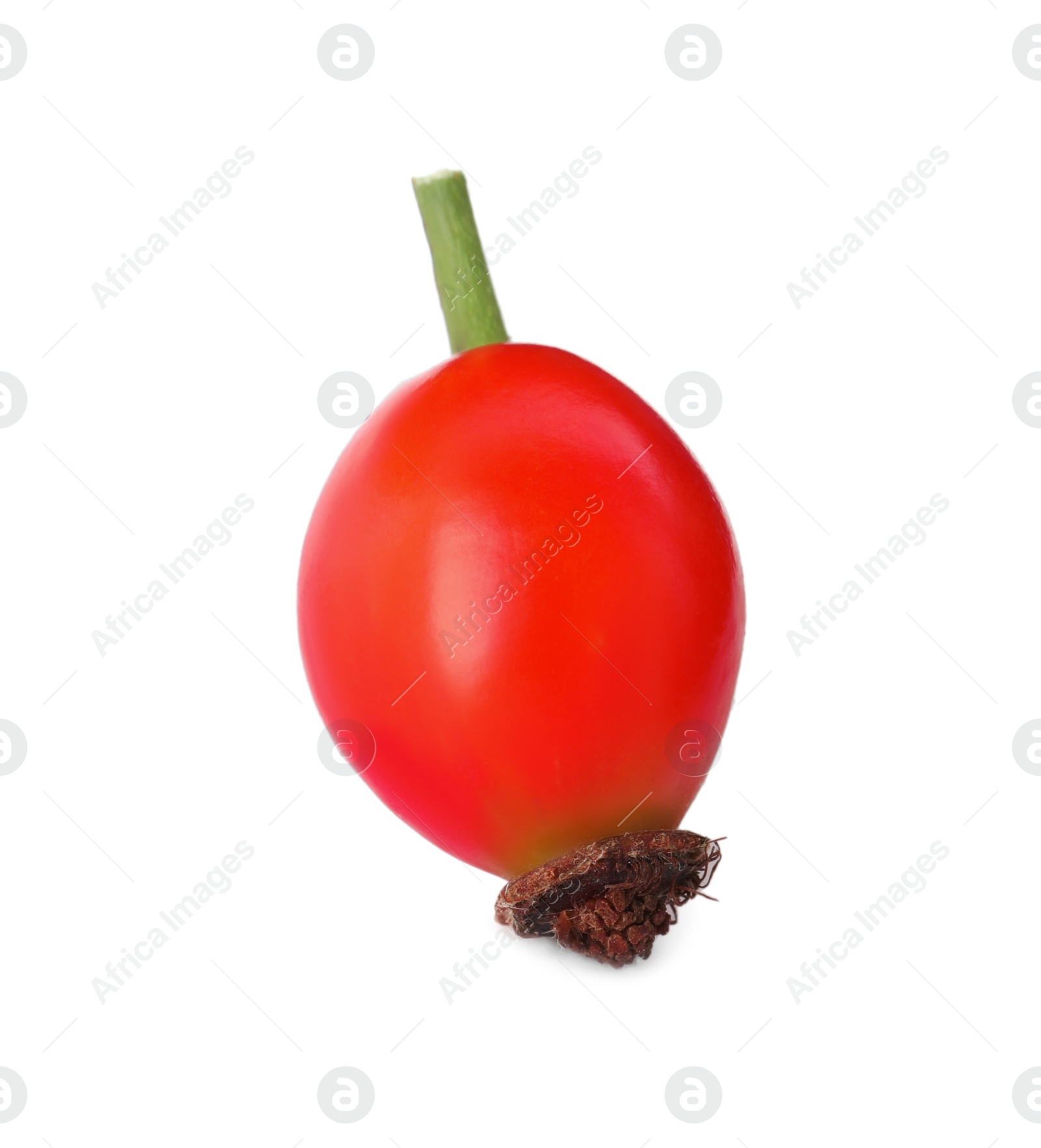Photo of Ripe rose hip berry isolated on white