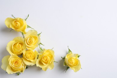 Beautiful yellow roses on white background, flat lay. Space for text