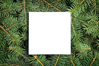 Blank paper sheet on Christmas tree branches as background