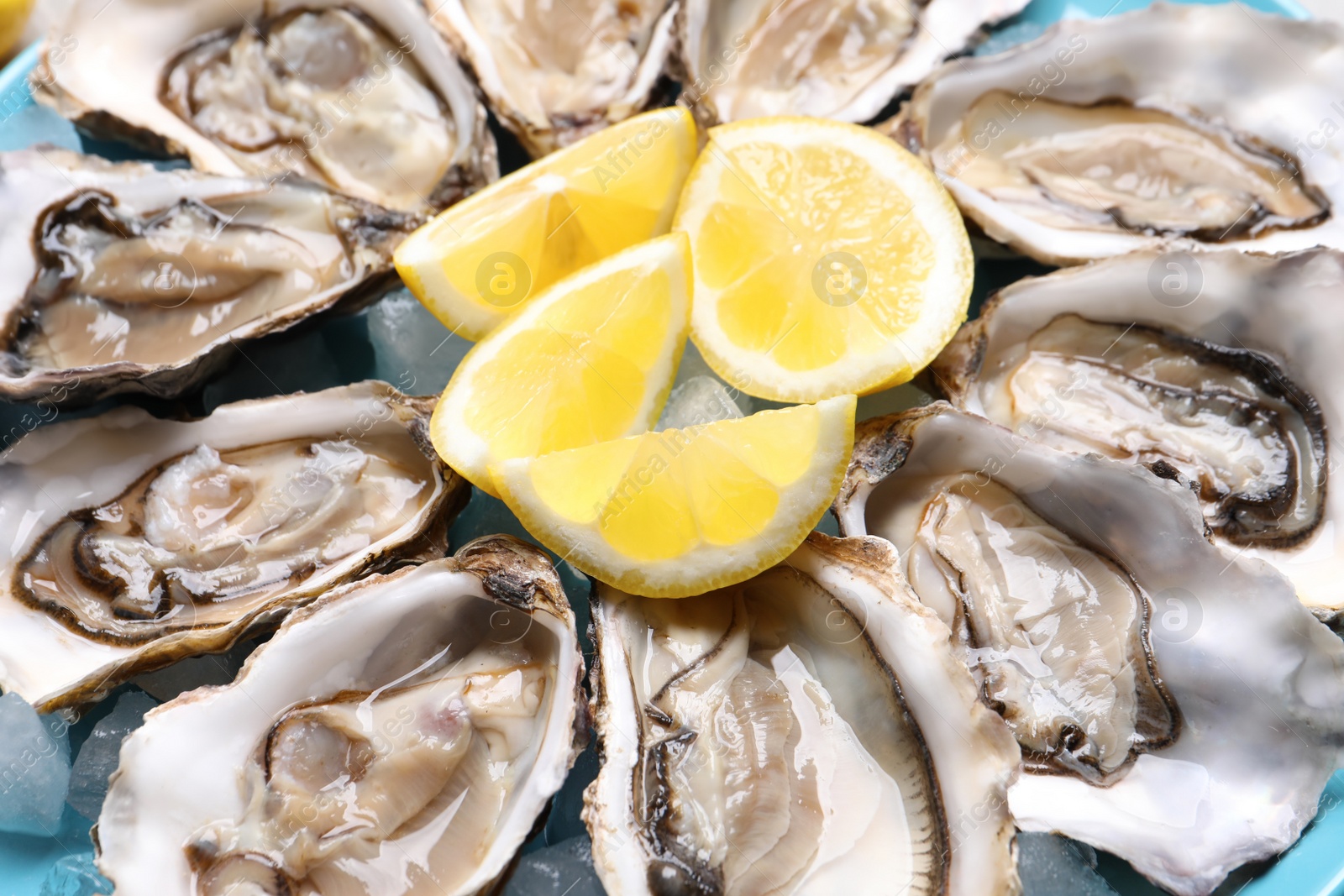 Photo of Fresh oysters with lemon on plate, closeup