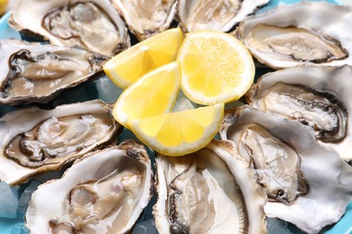 Fresh oysters with lemon on plate, closeup