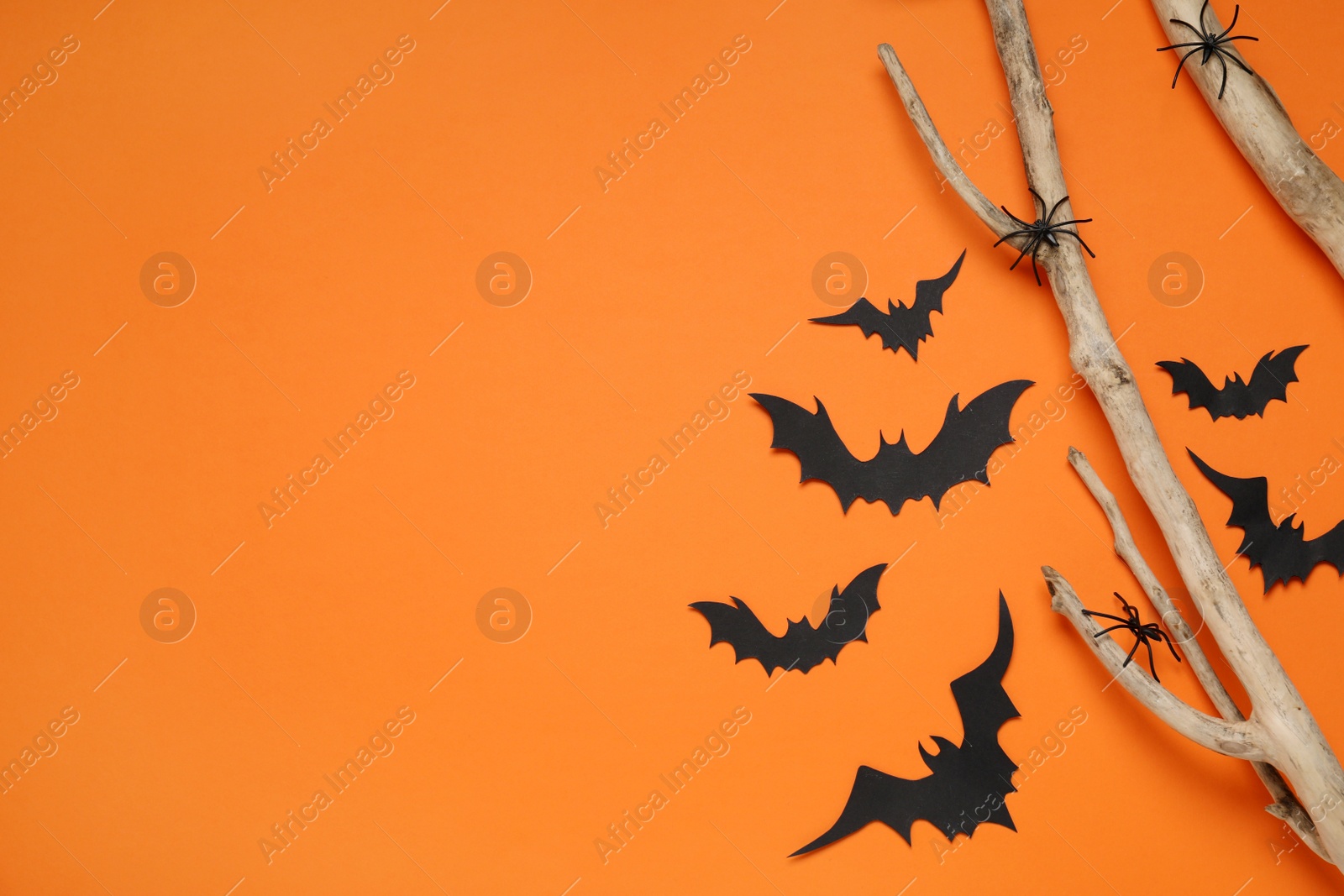 Photo of Flat lay composition with paper bats, spiders and wooden branches on orange background, space for text. Halloween decor