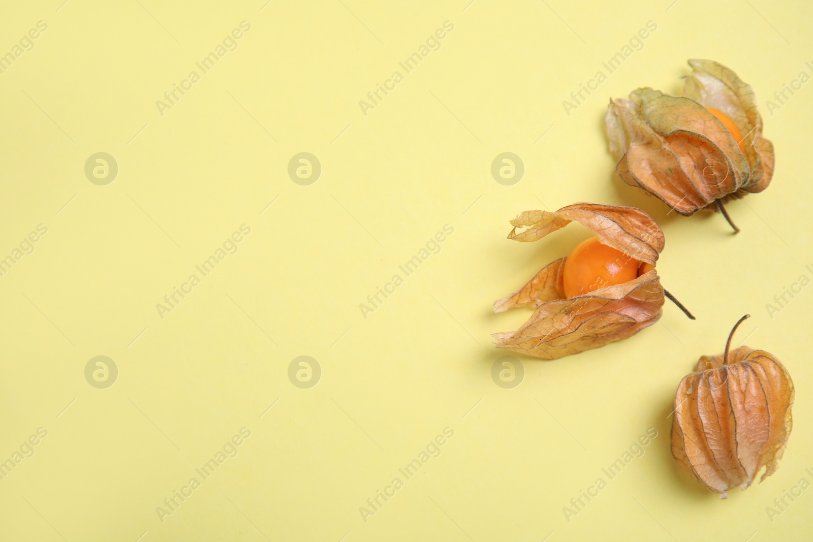 Photo of Ripe physalis fruits with dry husk on yellow background, flat lay. Space for text