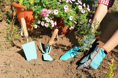 Photo of Woman planting flowers outdoors on sunny day. Gardening tools