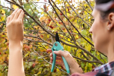 Photo of Woman pruning tree branch by secateurs in garden, closeup