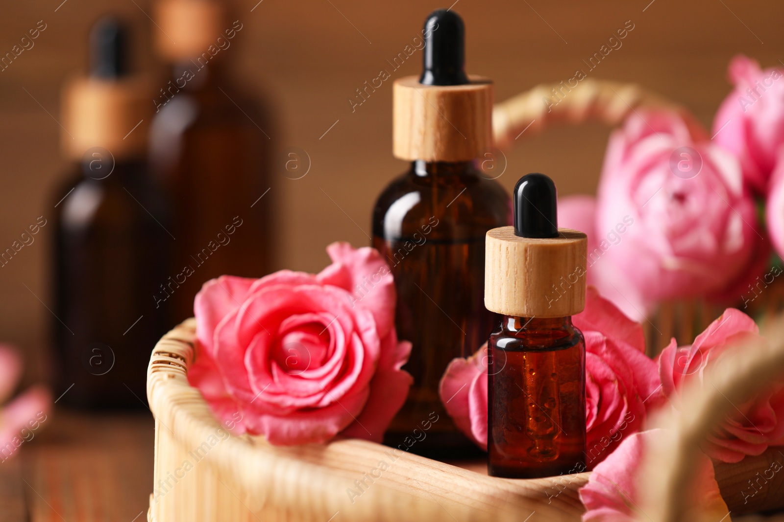 Photo of Tray with bottles of essential rose oil and flowers on table, closeup