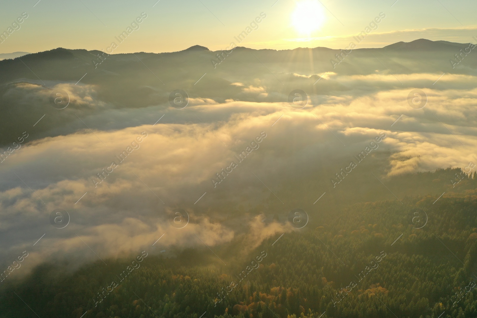 Photo of Beautiful landscape with thick mist and forest in mountains. Drone photography