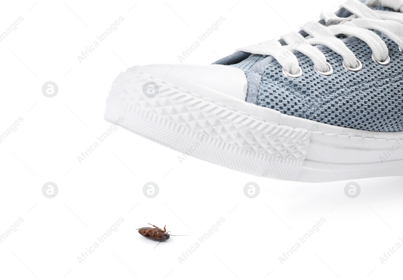 Photo of Person crushing cockroach with feet on white background, closeup. Pest control