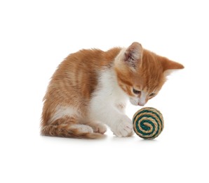 Photo of Cute kitten with ball on white background. Pet toy