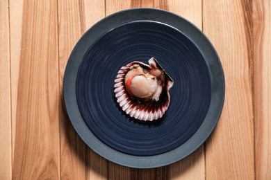 Photo of Shell with fresh scallop on wooden table, top view