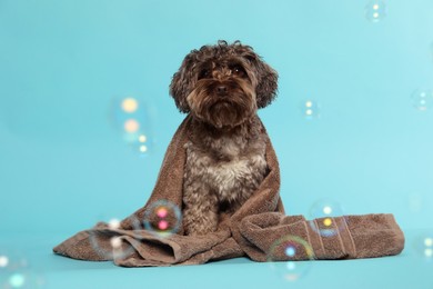 Photo of Cute dog with towel and bubbles on light blue background
