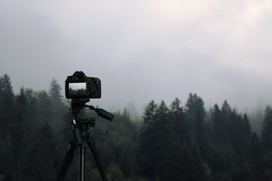 Image of Taking photo of beautiful mountain forest in foggy morning with camera mounted on tripod
