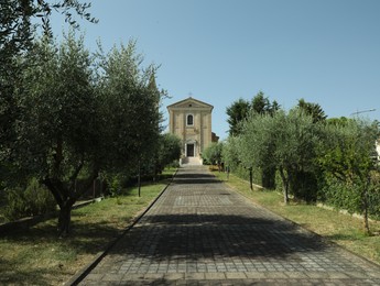 Photo of Beautiful alley with church and trees on sunny day