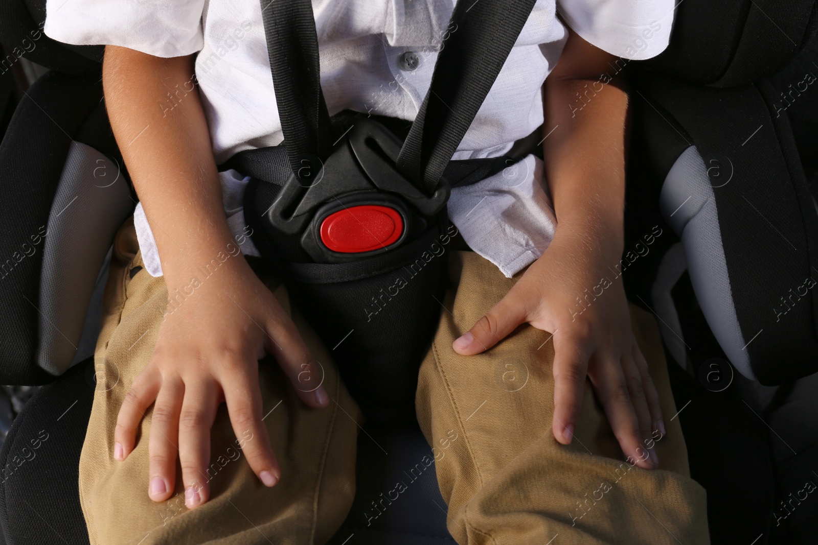 Photo of Little boy fastened with car safety belt in child seat, closeup