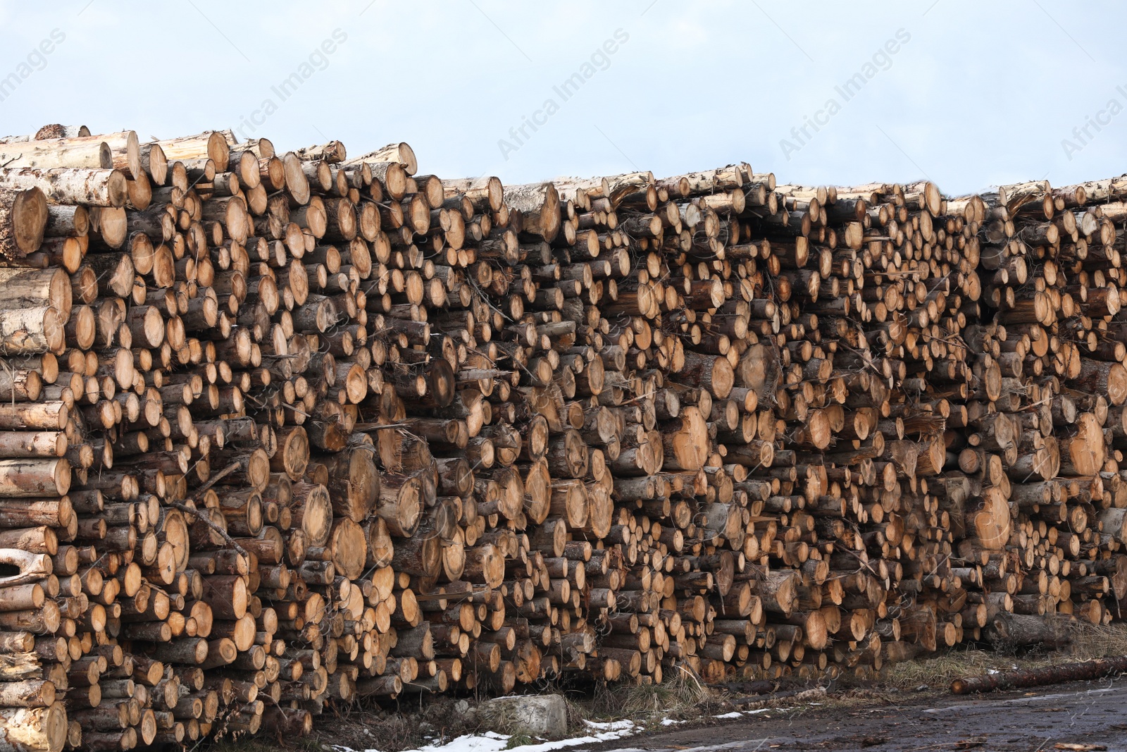 Photo of Stacked firewood outdoors. Heating house in winter