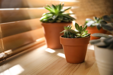 Photo of Beautiful echeveria on wooden windowsill indoors. Succulent plant