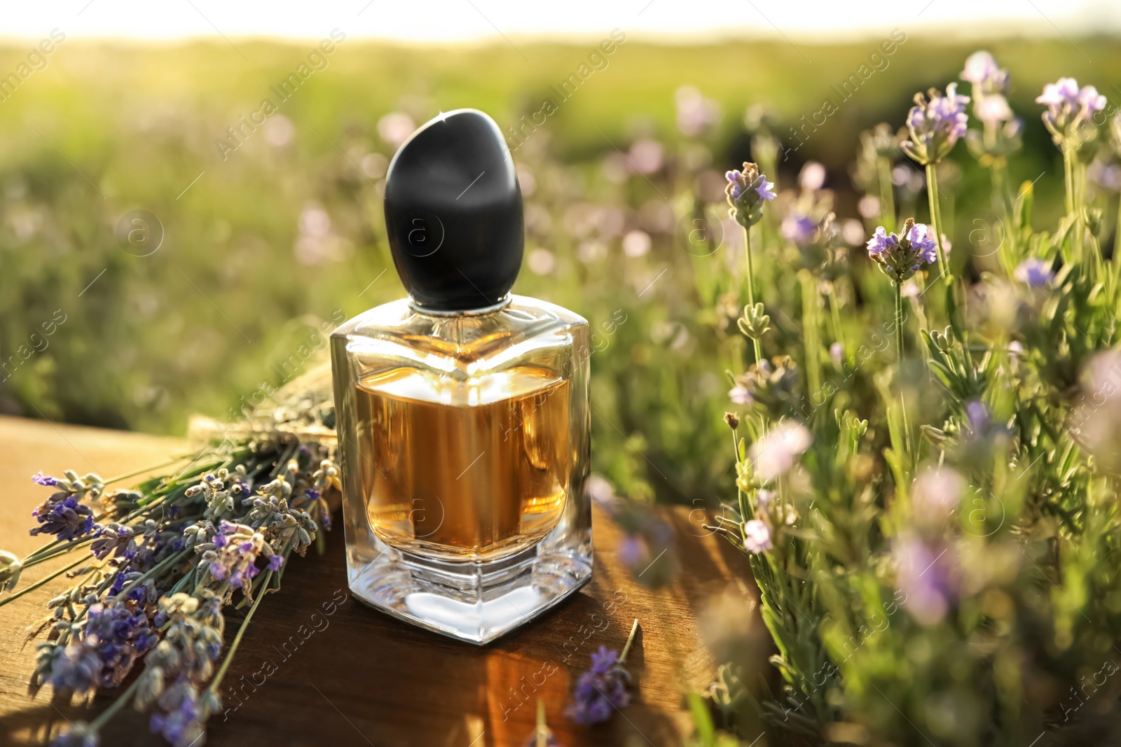 Photo of Bottle of luxury perfume and lavender flowers on wooden table in blooming field