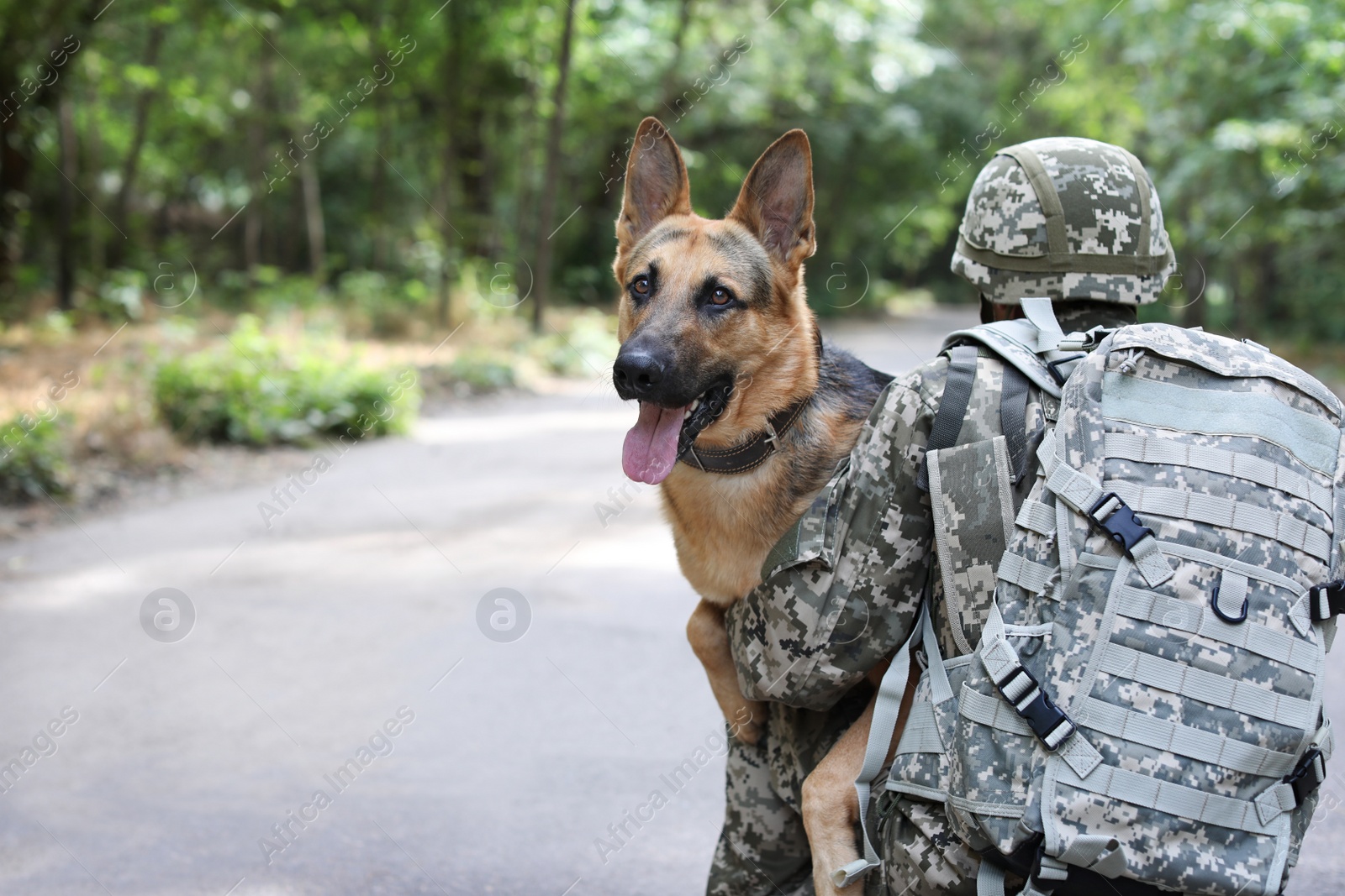 Photo of Man in military uniform with German shepherd dog, outdoors