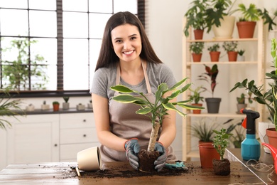 Photo of Young woman taking care of plant at home