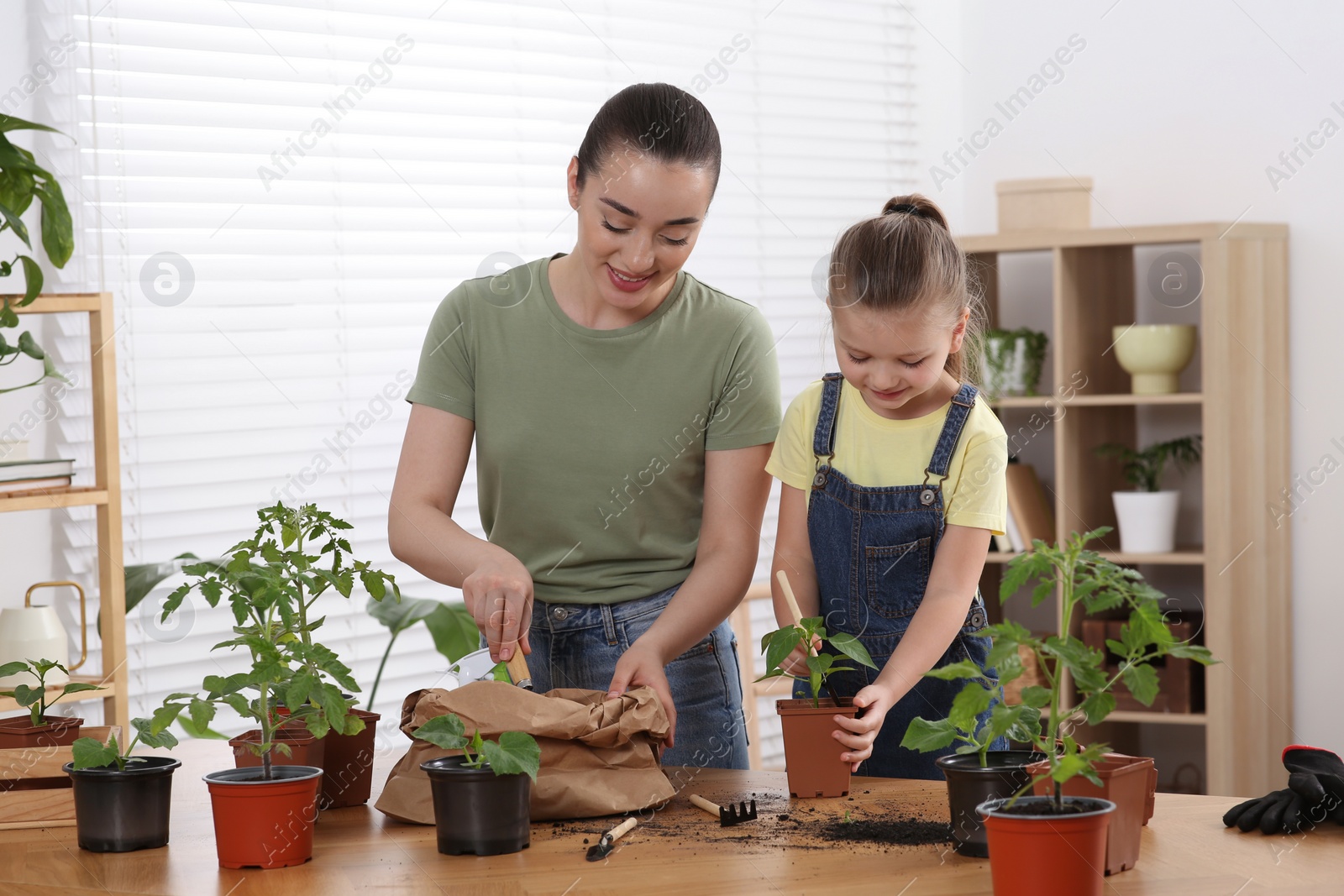 Photo of Mother and daughter planting seedlings into pot together at wooden table in room