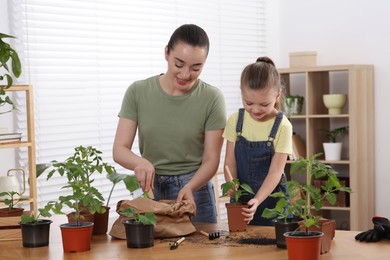 Photo of Mother and daughter planting seedlings into pot together at wooden table in room