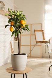 Photo of Idea for minimalist interior design. Small potted lemon tree with fruits on table indoors