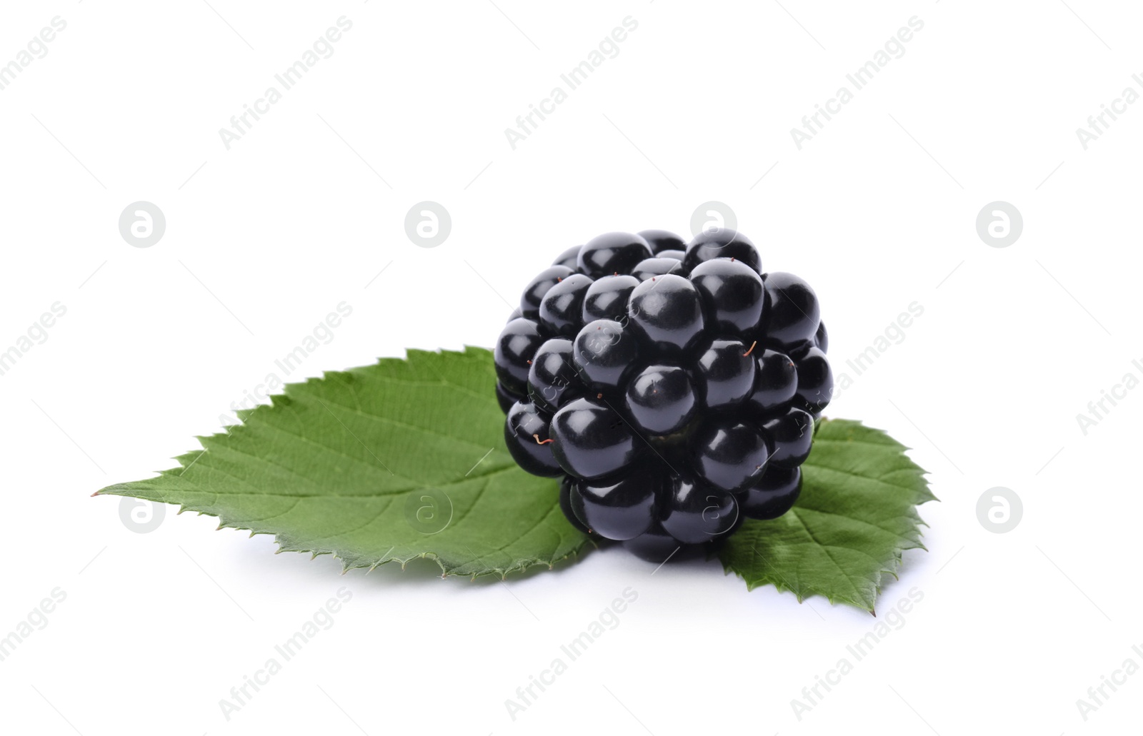 Photo of Tasty ripe blackberry with green leaves on white background