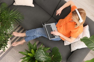 Woman in headphones using laptop on sofa near beautiful potted houseplants at home, top view