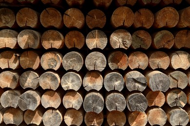 Many stacked wooden logs as background, closeup