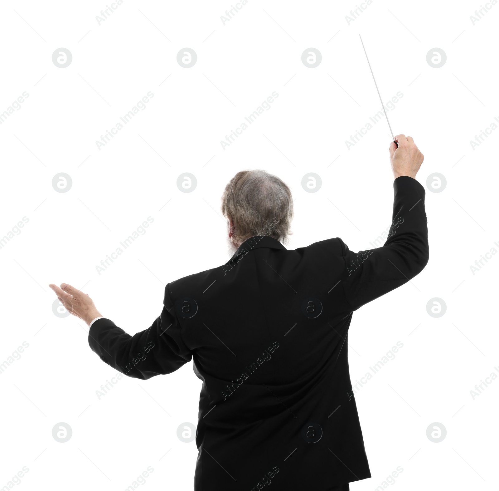 Photo of Professional conductor with baton on white background, back view