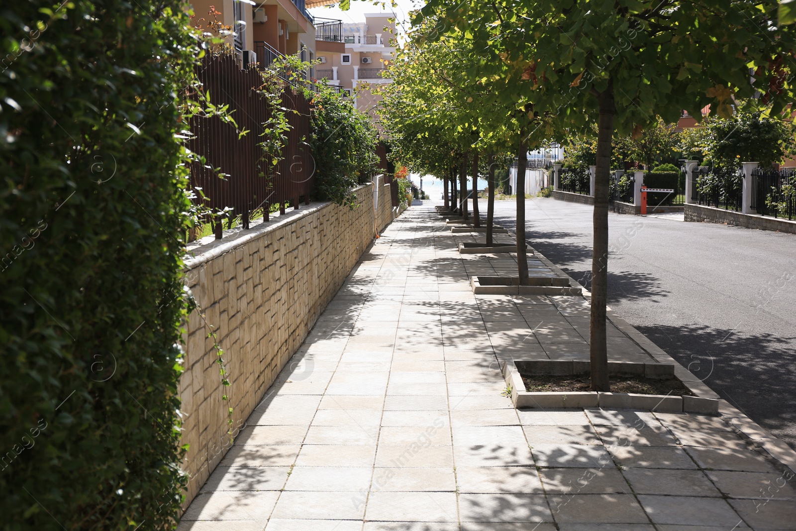 Photo of Beautiful view of city street with buildings and trees