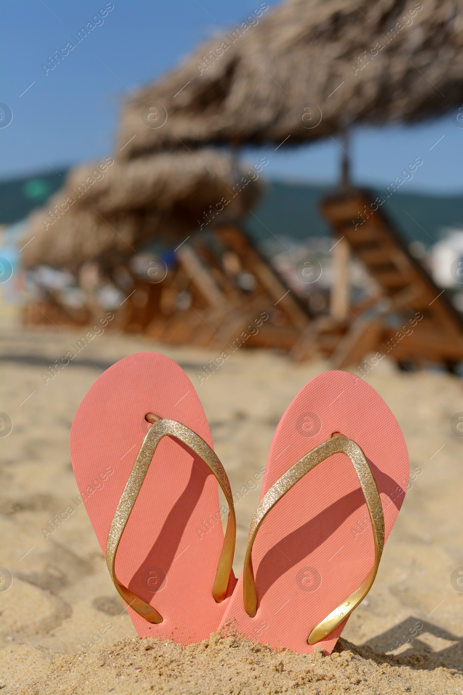 Photo of Stylish flip flops in sand on beach