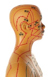 Photo of Acupuncture - alternative medicine. Human model with dots and lines isolated on white