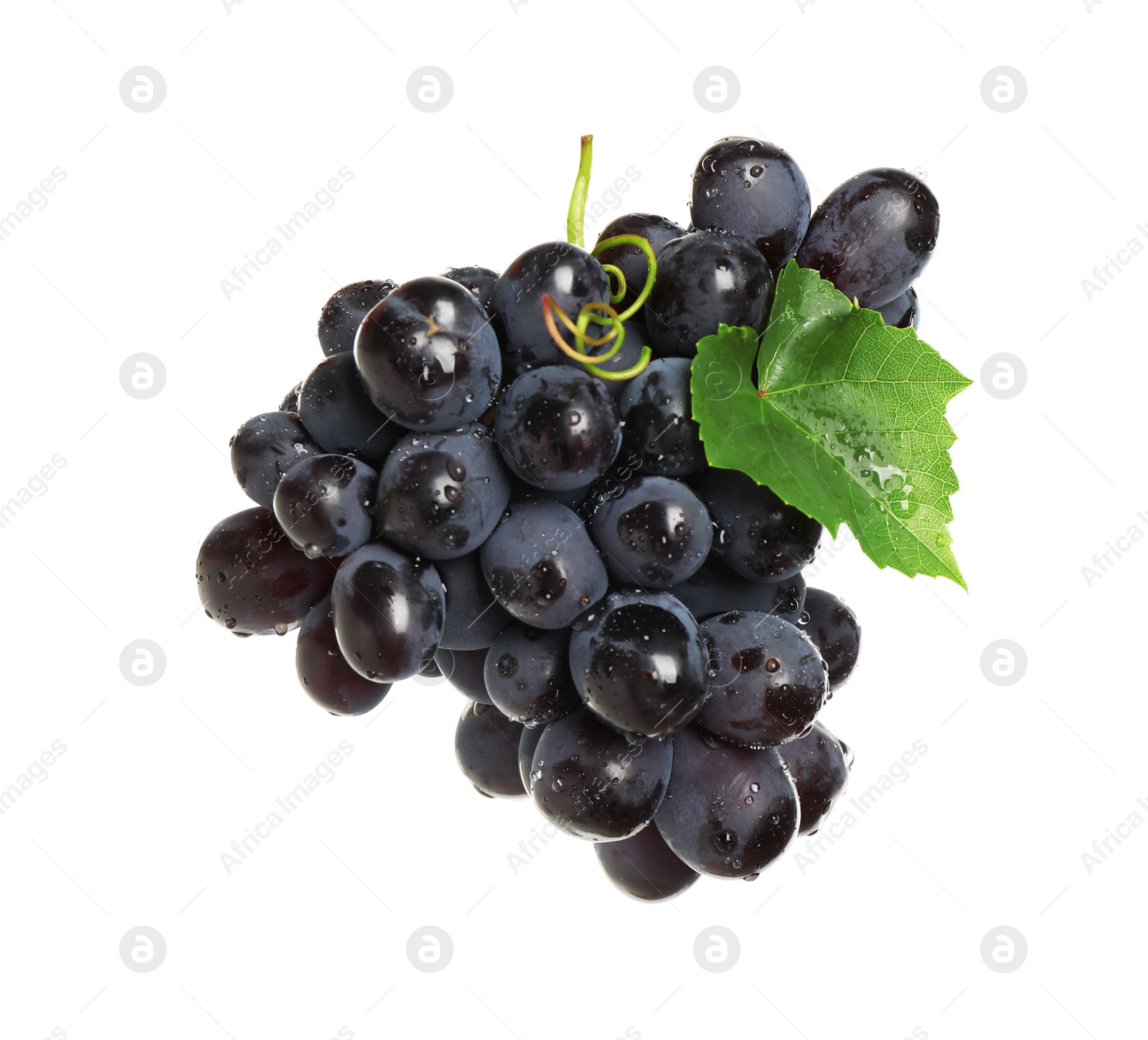 Photo of Bunch of fresh ripe juicy dark blue grapes with leaf isolated on white