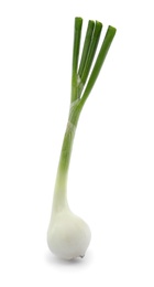 Photo of Fresh green onion on white background