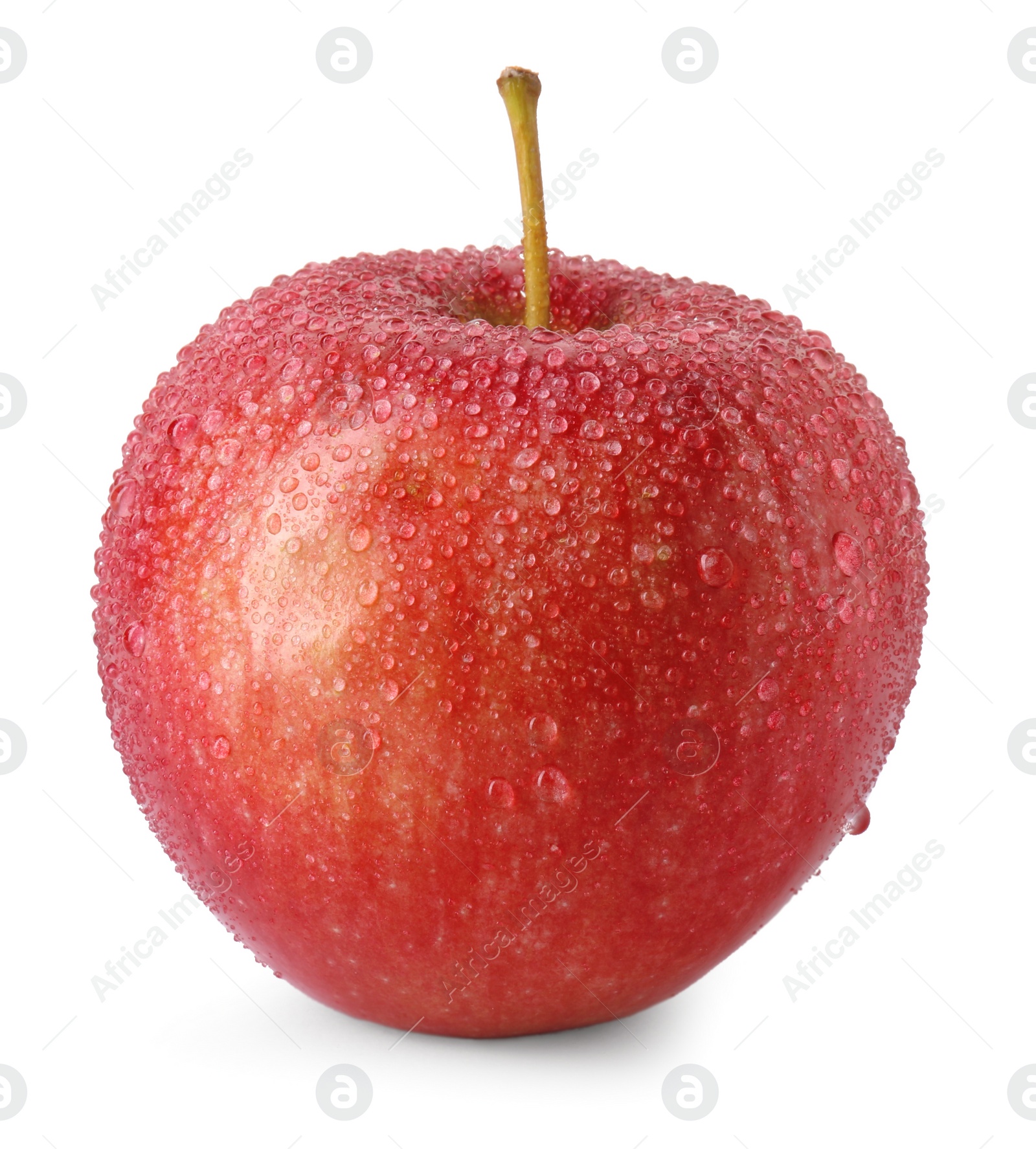 Photo of One ripe red apple with water drops isolated on white