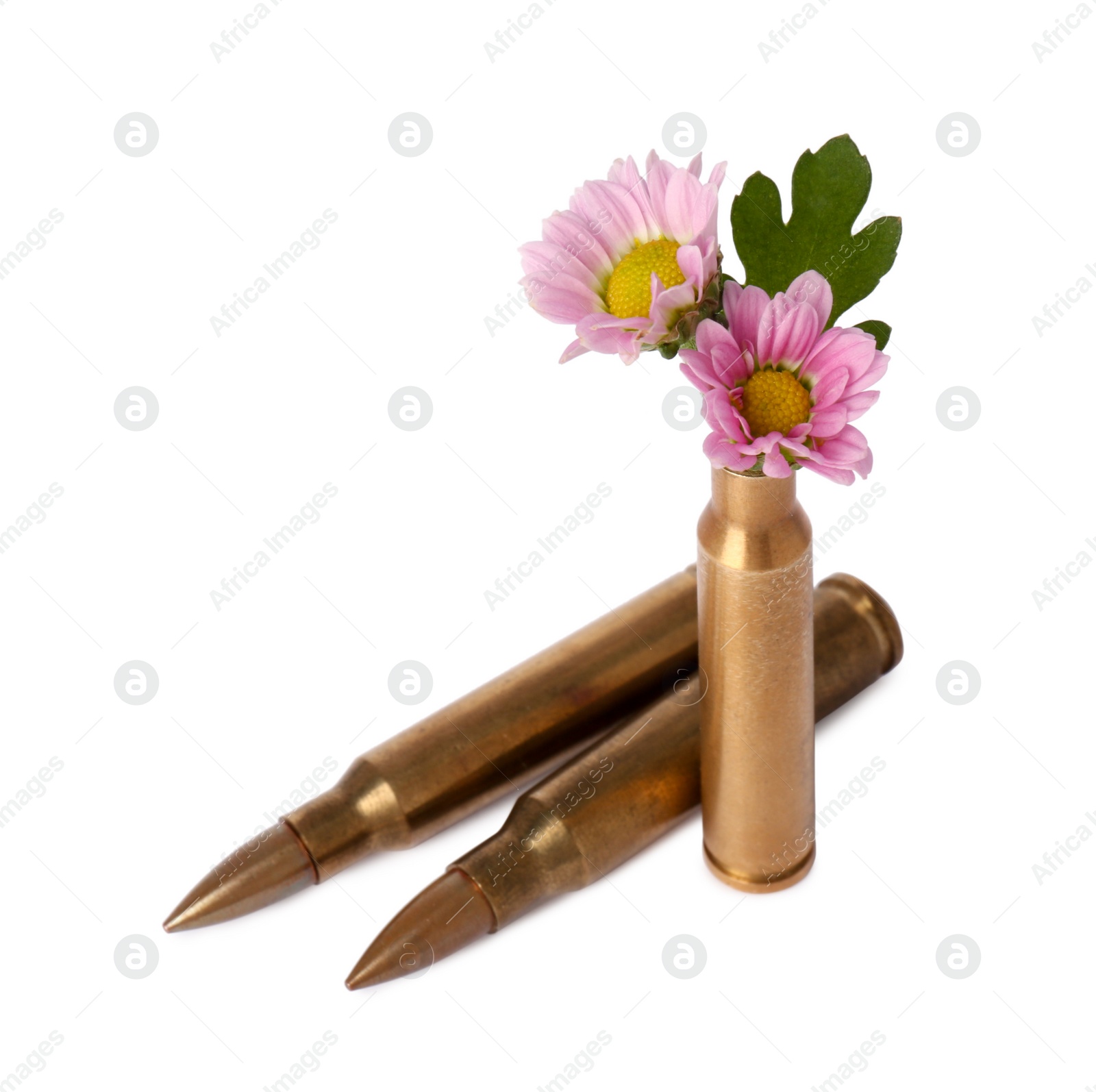 Photo of Bullets and cartridge case with beautiful flowers isolated on white