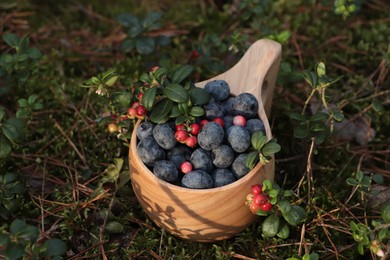 Wooden mug full of fresh ripe blueberries and lingonberries in grass