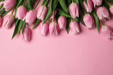 Photo of Beautiful spring tulips on light pink background, flat lay. Space for text